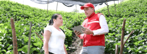 Bancamia resultados primertrimestre2016