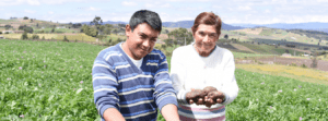 Bancamía USAID
