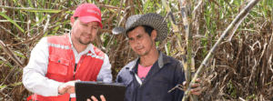 Bancamía primer banco de microfinanzas en Colombia Fintech