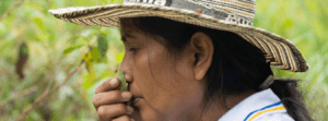 Dia Internacional Indigenas