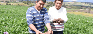 En 2018 Bancamía entidad del Grupo Fundación Microfinanzas BBVA desembolsó 1.2 billones en créditos productivos para microempresarios
