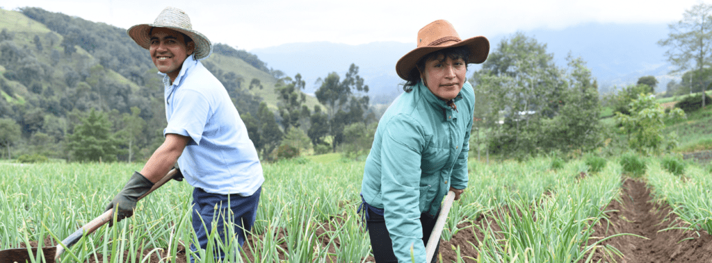 Nuevo seguro agrícola para microempresarios de campo