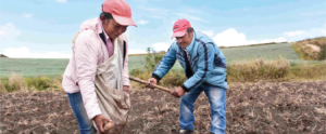 Segurosclimaticos bancamia